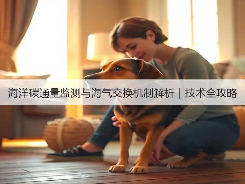 海洋碳通量监测与海气交换机制解析｜技术全攻略